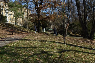 Zámecký park. Foto: Jana Janošcová