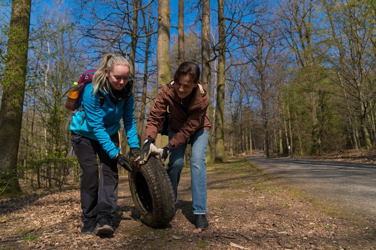 Porubané uklidí lesopark u Myslivny