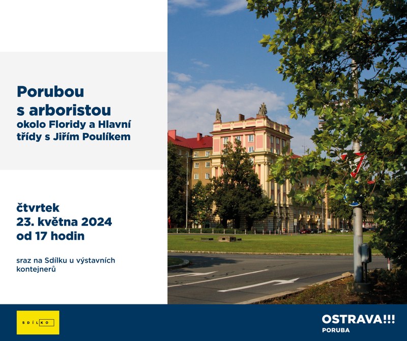 Porubou s arboristou
