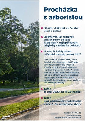 Procházka s arboristou