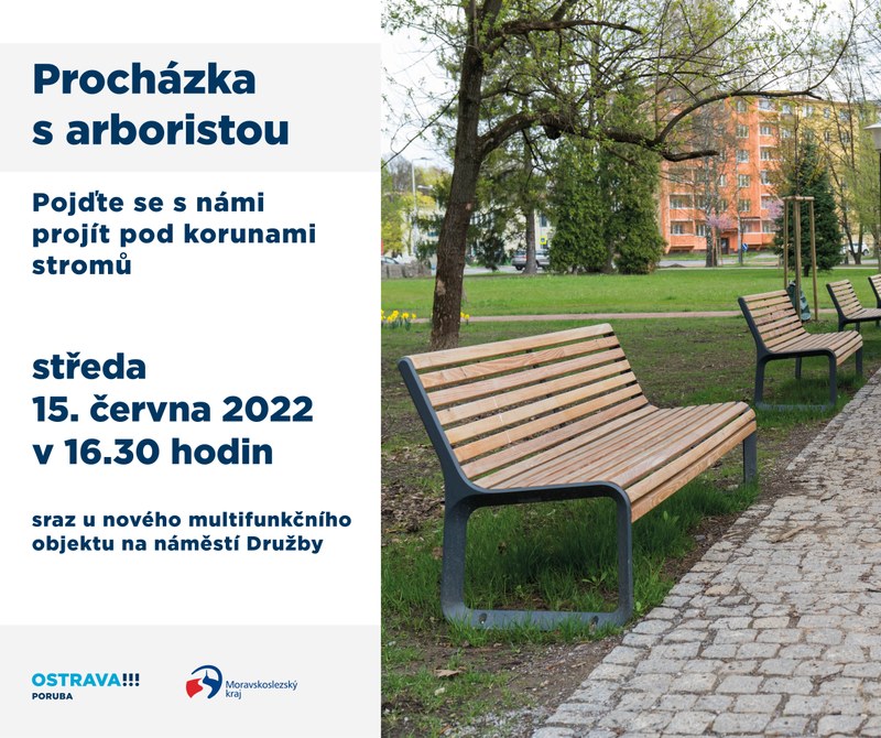 Procházka s arboristou