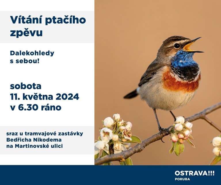 Vítání ptačího zpěvu s Markétou Cichou