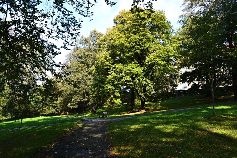 Zámecký park: přípravy pokračují