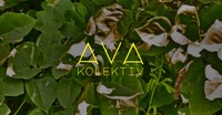 Limity hudby – AVA kolektiv