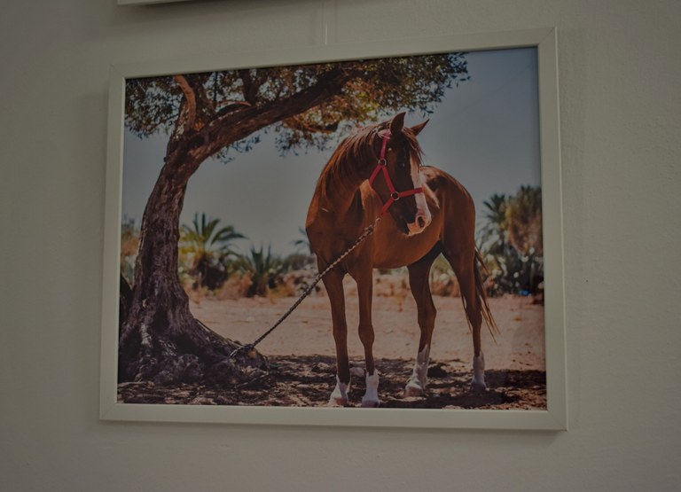 Fotogalerie