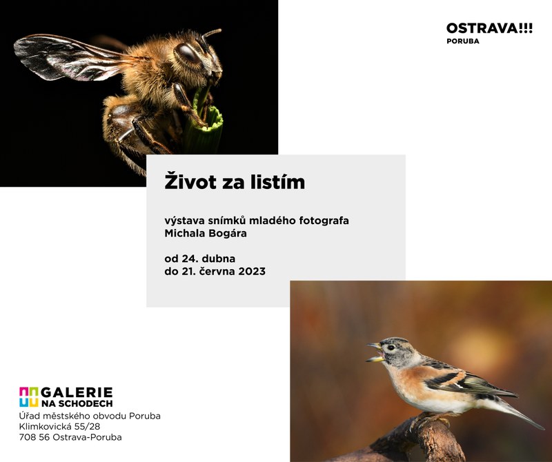 Život za listím (24. 4. – 21. 6. 2023)
