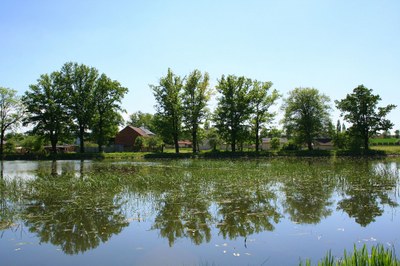 zámecký rybník