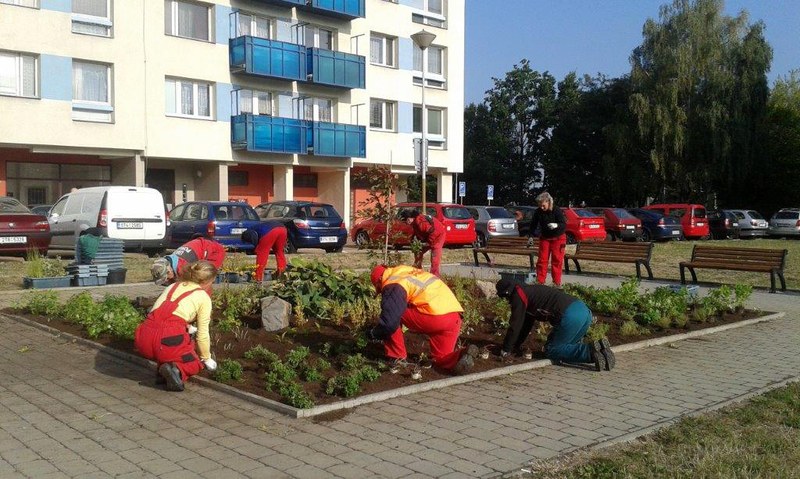 Bylinky porostou i u Koruny