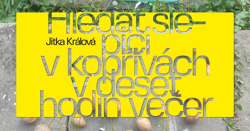 Galerie Dukla představí práce Jitky Králové