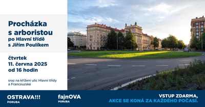 Arborista provede zájemce městskou zelení