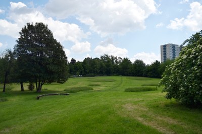 Dvě lokality kosí Poruba novým způsobem