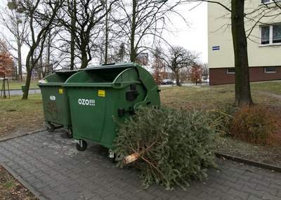 Město zajistí svoz vánočních stromků od kontejnerových stání