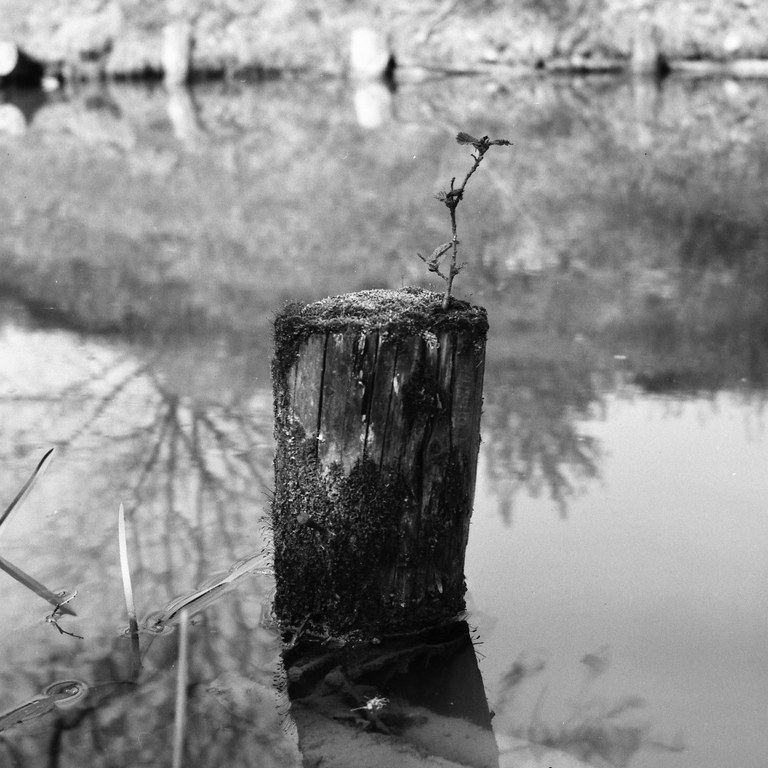 Nové výstavy v Galerii na schodech a Galerii Dukla 