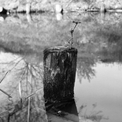 Nové výstavy v Galerii na schodech a Galerii Dukla 