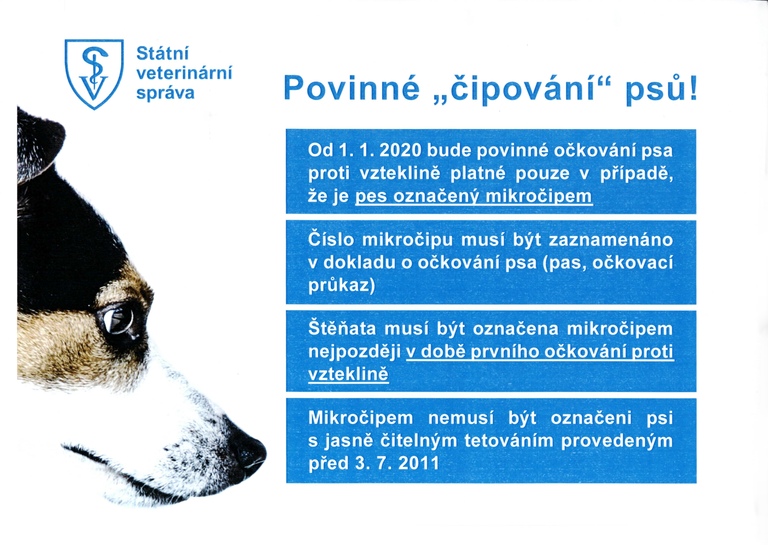 Od příštího roku bude čipování psů povinné