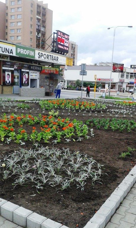 Poruba vysadila i bylinky