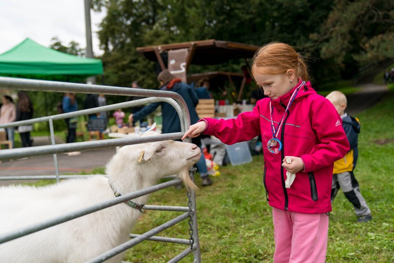 Akce Zažít Porubu jinak bavila i pomáhala
