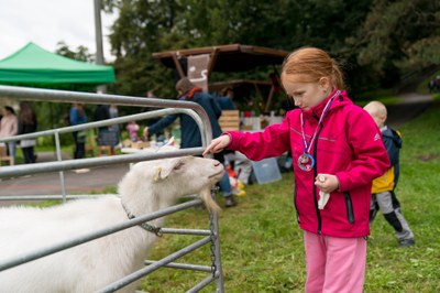 Akce Zažít Porubu jinak bavila i pomáhala
