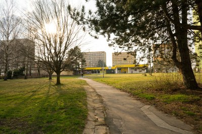 Studie zjistí potřeby osmého obvodu a Nového Pustkovce