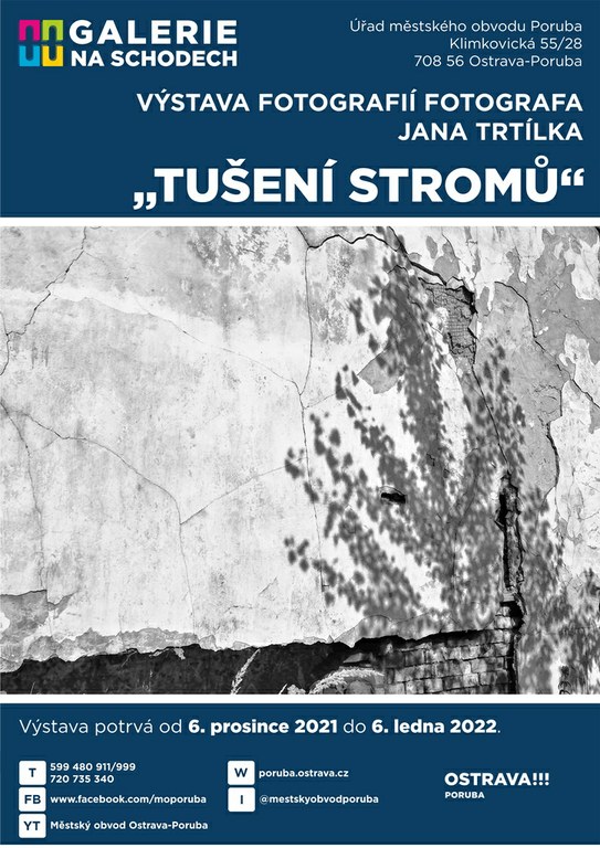 Tušení stromů – černobílé snímky v radniční galerii