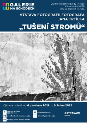 Tušení stromů – černobílé snímky v radniční galerii