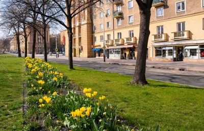 Uzavírka Hlavní třídy