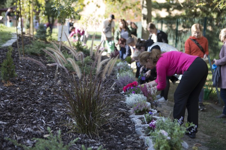 Zelená pro Ostravu – výzva OZO Ostrava 
