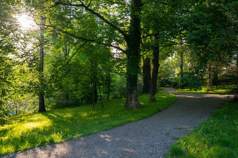 Žádosti o účast v soutěži na zpracování návrhů proměny Zámeckého parku se podávají už jen do pátku 14. srpna