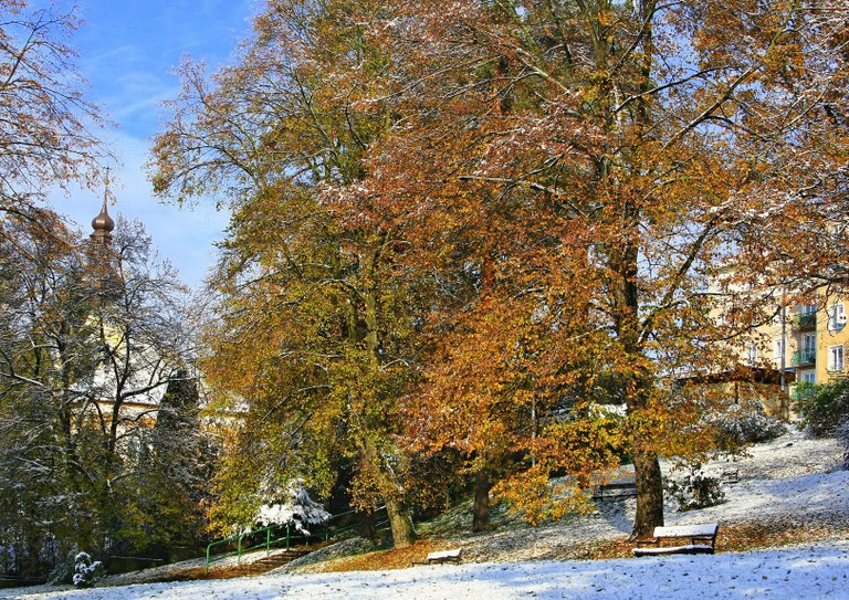 Zámecký park i jeho okolí si zaslouží do budoucna výraznou proměnu