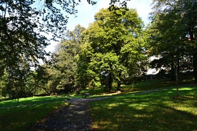 Zámecký park: přípravy pokračují
