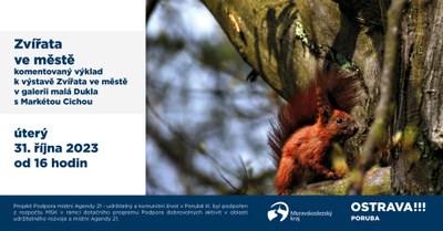 Zvířata ve městě, výstava v Galerii Malá Dukla