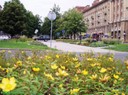 Hlavní třída