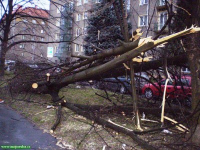3.3.2008 – V Porubě vítr vyvrátil stromy