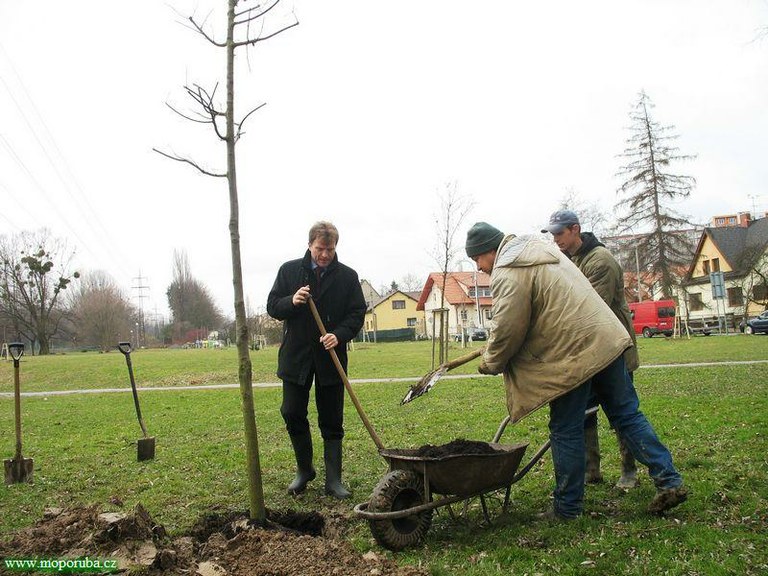 16.3.2009 – Pustkovecké údolí má 77 nových stromů
