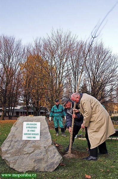 16.11.2009 – Poruba vysadila „sametový“ strom