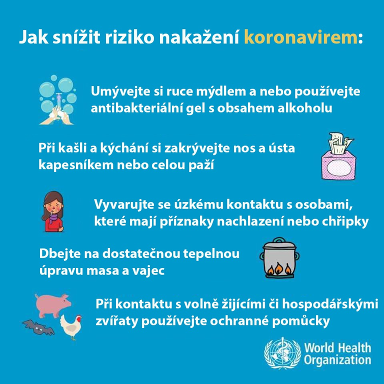 Doporučení v souvislosti s výskytem koronaviru