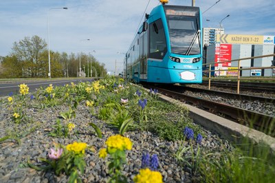 Krajský úřad vyhlásil veřejné projednání plánované tramvajové trati.  Ilustrační foto: Jiří Birke