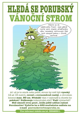 Poruba shání vánoční strom