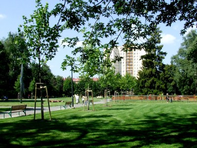 Nový portál nabízí informace o porubských stromech