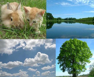 Finanční podpora ekologických aktivit