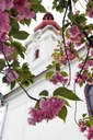 Okolí kostela sv. Mikuláše projde rekonstrukcí