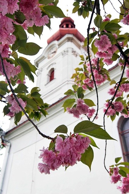 Okolí kostela sv. Mikuláše projde rekonstrukcí