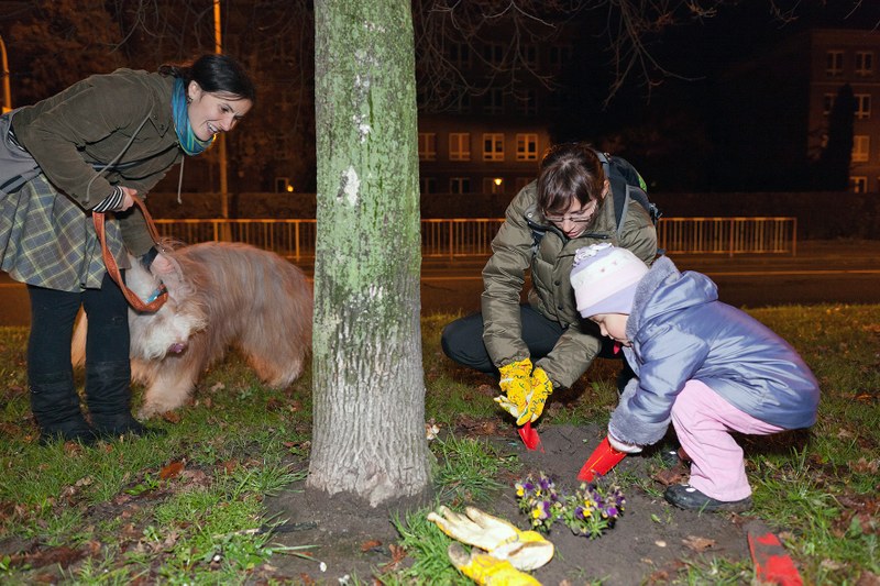 Porubu zbarvily květiny vysazené dobrovolníky