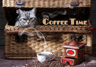 Studentská zastavení v Galerii na schodech