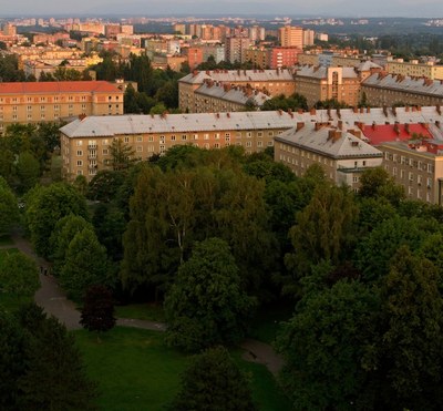 Poruba má zmapovaný zdravotní stav stromů