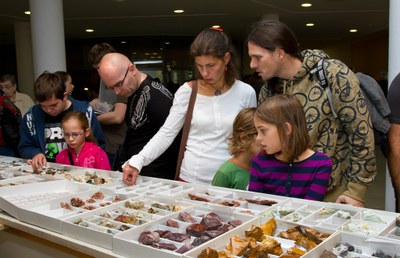 V aule VŠB-TUO vystaví přírodniny, fosilie i šperky