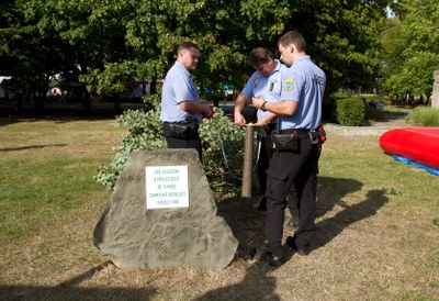 Neznámý vandal poničil památeční lípu