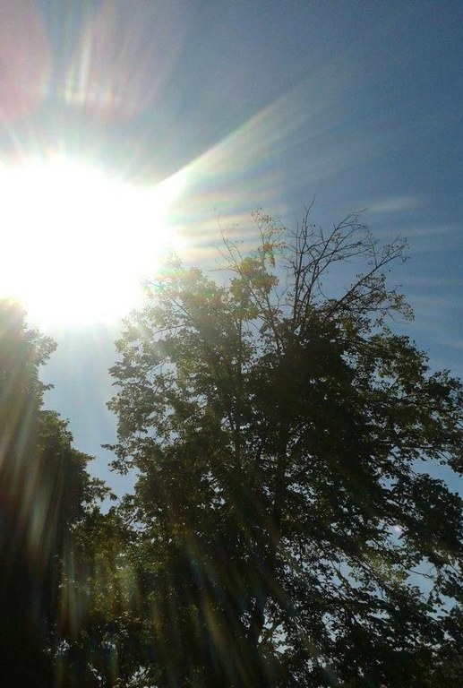 Pomozte se zaléváním zeleně