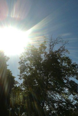 Pomozte se zaléváním zeleně