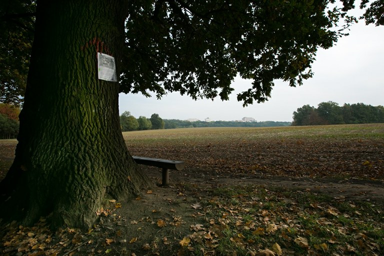 Primátor představí občanům projekt rozšíření VTP 